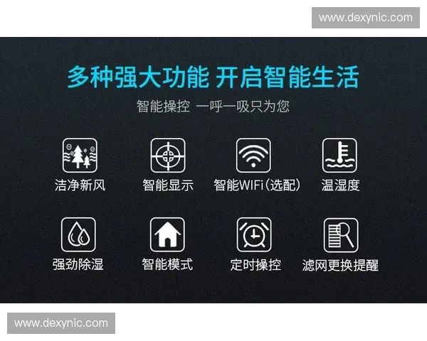 探索奢华之门——“开云精选入口”带你开启尊享生活新篇章