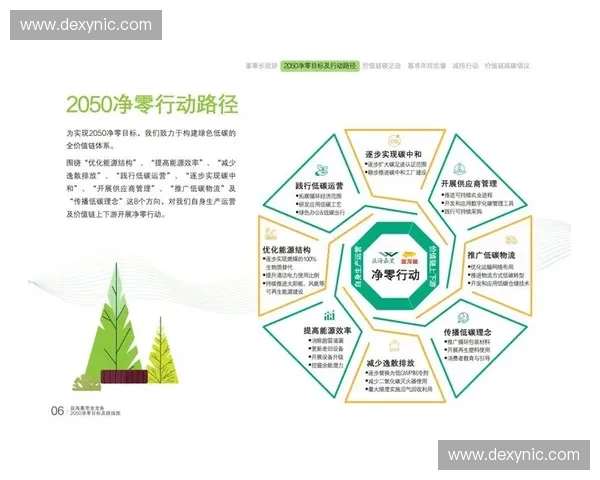 拳击积分榜：拳台荣耀与未来路线图